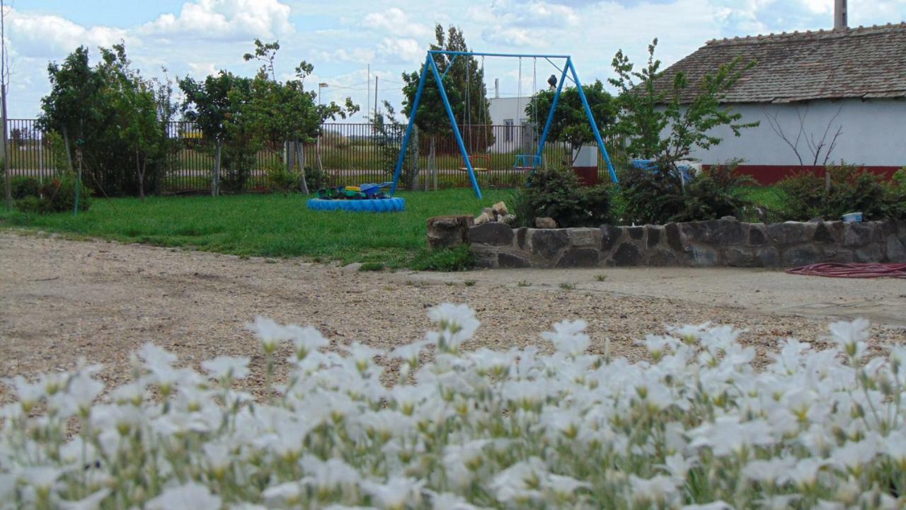 Anna Apartman Leilighet Maroslele Eksteriør bilde